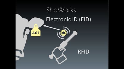 showorks rfid ear tags